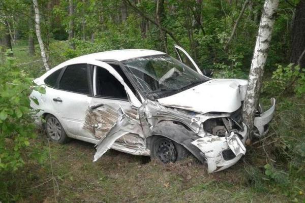 На Ставрополье легковушка врезалась в дерево, погиб мужчина
